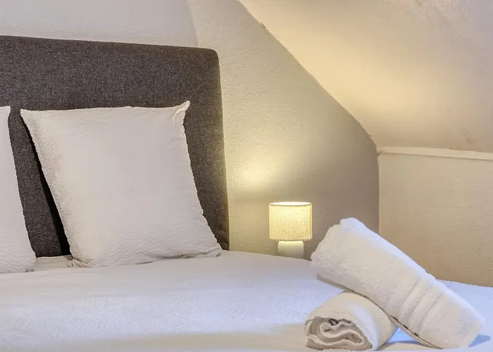 Nahiba Votre F2 Avec Vue Sur Vieux-marche Apartment